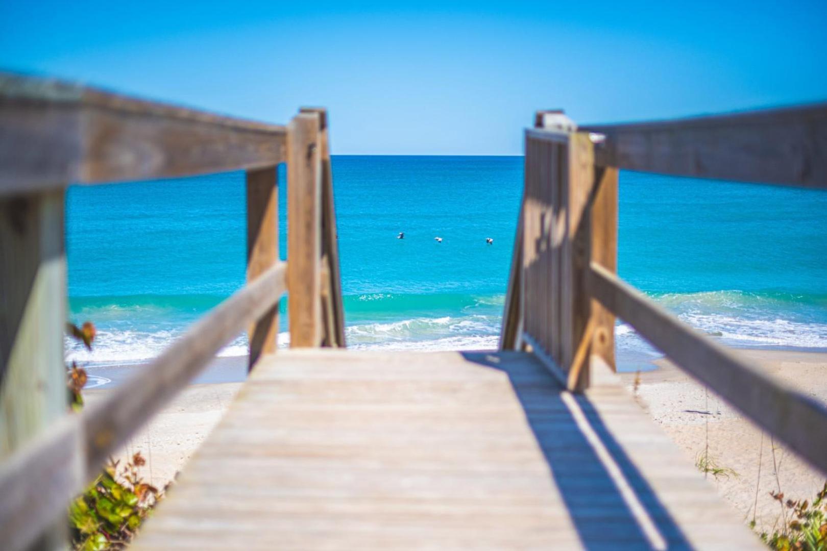 Tranquility Seahorse Suite - Oceanfront Paradise! 墨尔本比奇 外观 照片