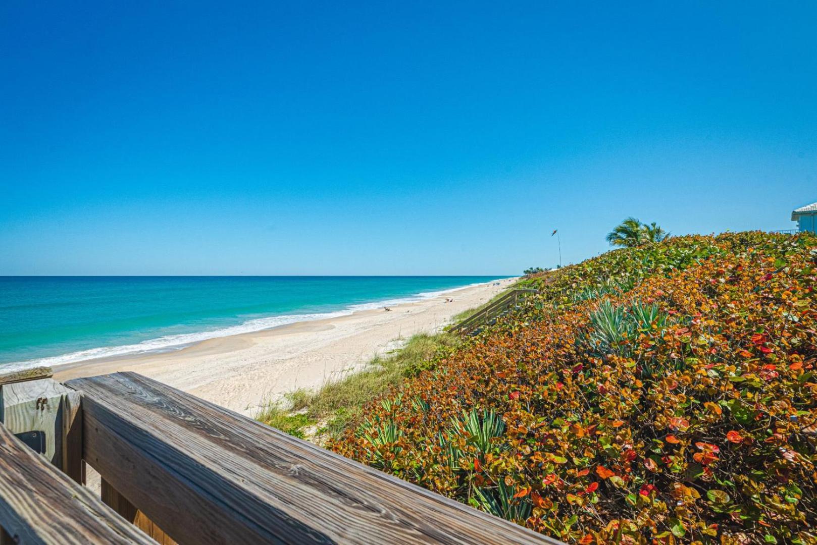 Tranquility Seahorse Suite - Oceanfront Paradise! 墨尔本比奇 外观 照片